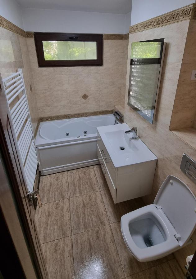 Stone Bridge Apartment Iasi Exteriér fotografie